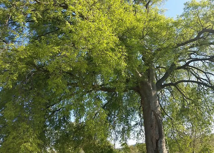 Apartment Nika Sibenik